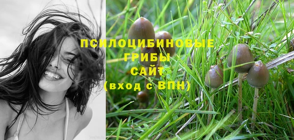 mix Алексин