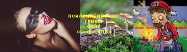 крисы Абинск