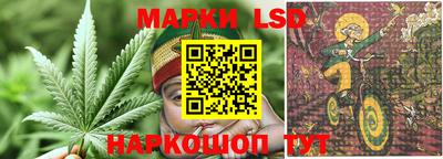 крисы Севастополь
