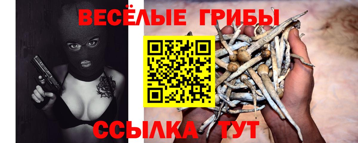 Галлюциногенные грибы мухоморы  Вход с VPN  Усинск 